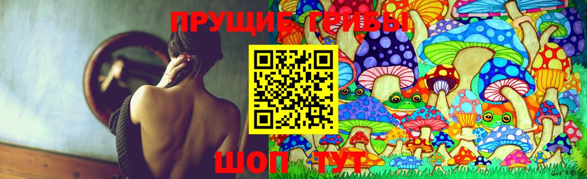 Галлюциногенные грибы Cubensis Тверь
