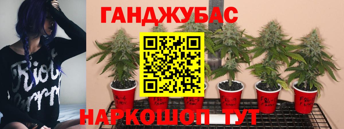 Бошки марихуана семена Тверь